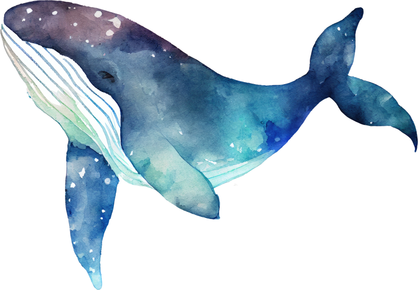 Whale Watercolor Illustration
