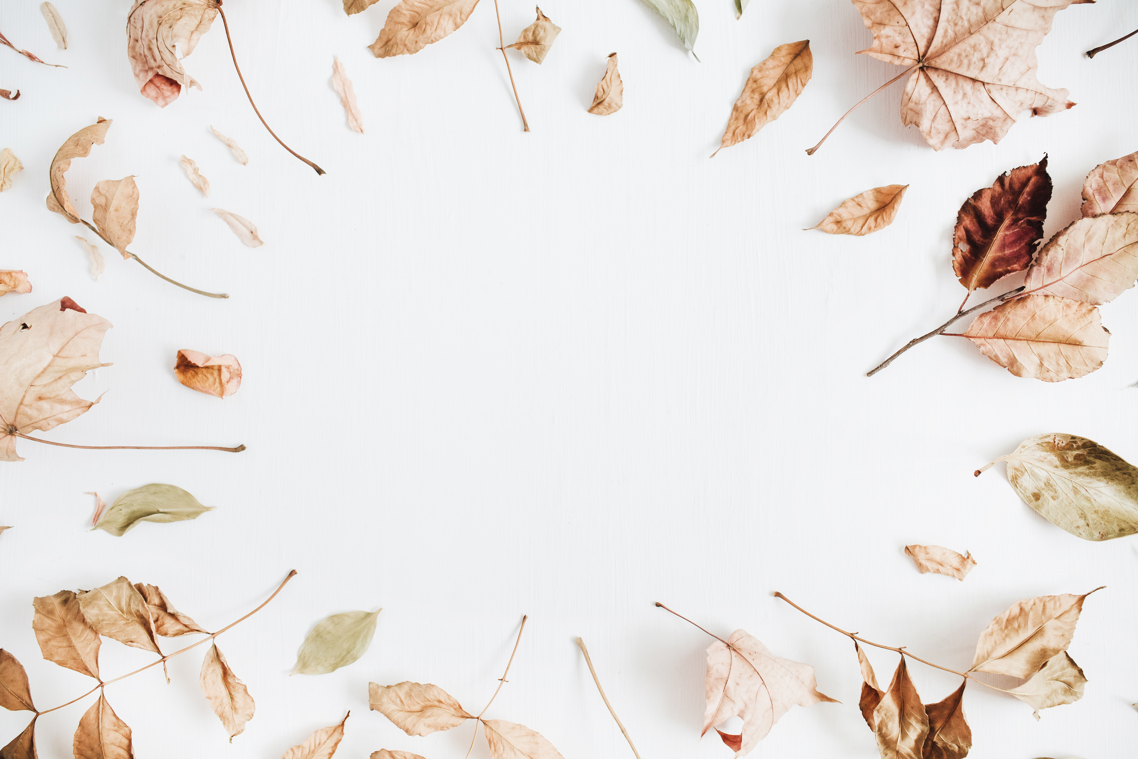 Autumn Leaves Background