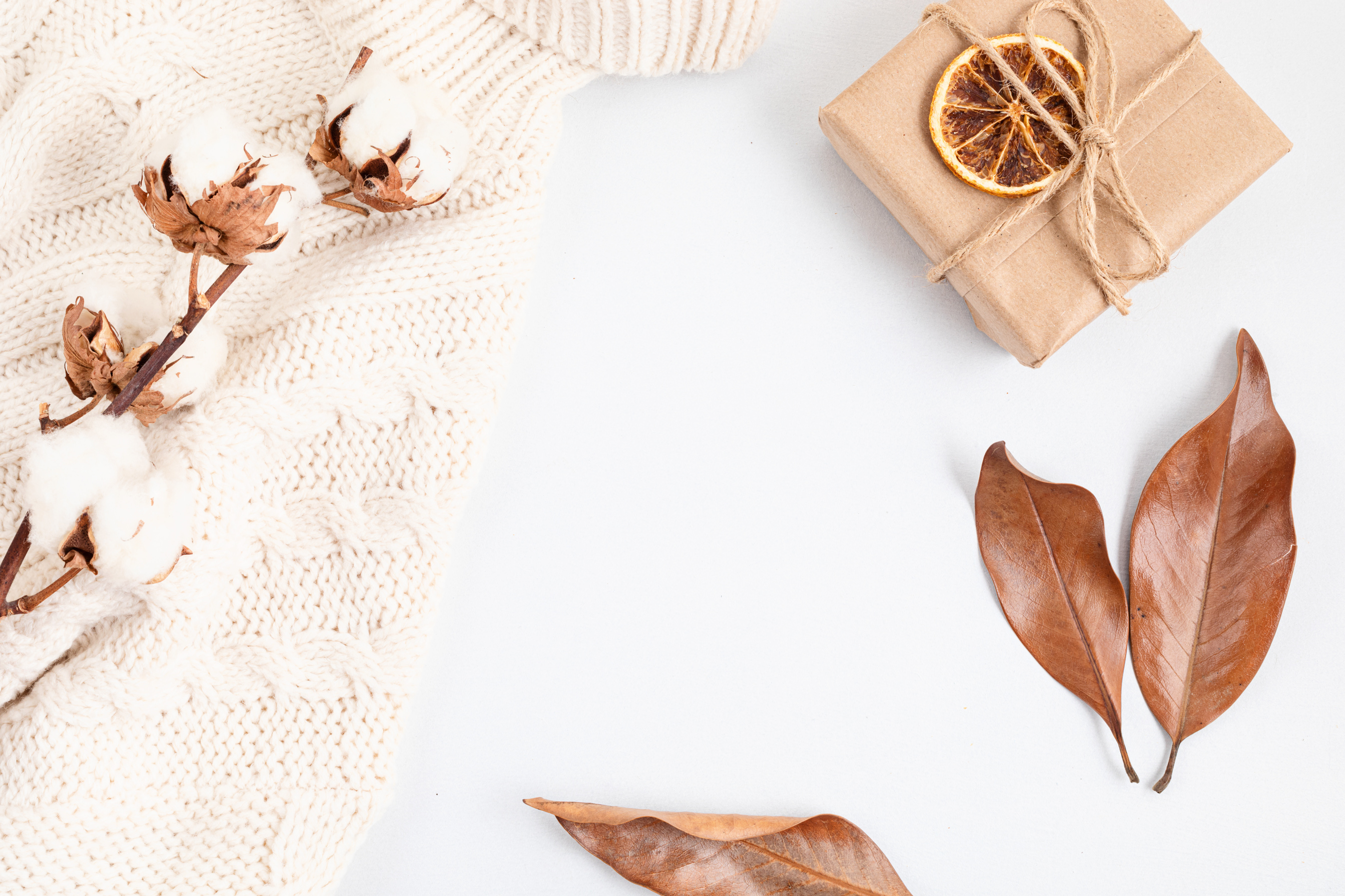 Abstract Autumn, fall flat lay composition